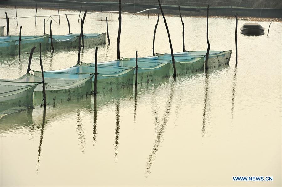 #CHINA-JIANGSU-HUAIAN-AQUACULTURE-CRAB (CN)