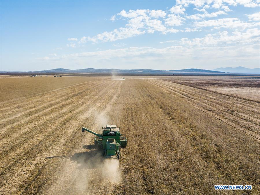 Xinhua Headlines: A new milestone in China-Russia relations