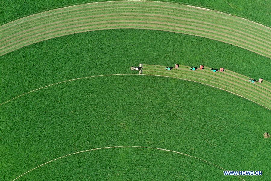 XINHUA PHOTOS OF THE DAY