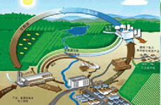 生物質(zhì)能:智利人的循環(huán)經(jīng)濟(jì)理念