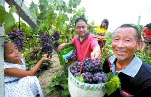 力爭&ldquo;城鄉(xiāng)收入差距持續(xù)縮小&rdquo;　富裕農(nóng)民出實招