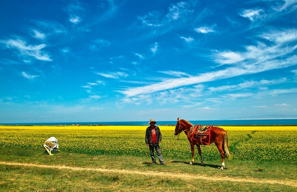 青海推行草原生態(tài)保護補獎?wù)? /></a></p>
<p class=