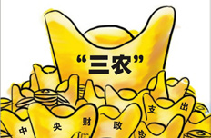 財(cái)政三農(nóng)支出繼續(xù)增加 縮小城鄉(xiāng)收入差距