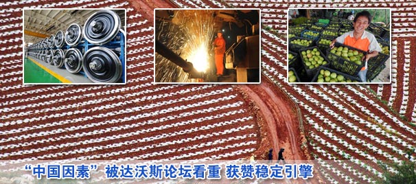 "中國(guó)因素"被達(dá)沃斯論壇看重 獲贊穩(wěn)定引擎