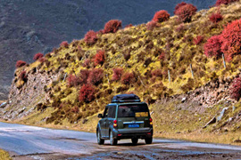 天微涼葉漸黃，最美風(fēng)景是家鄉(xiāng)