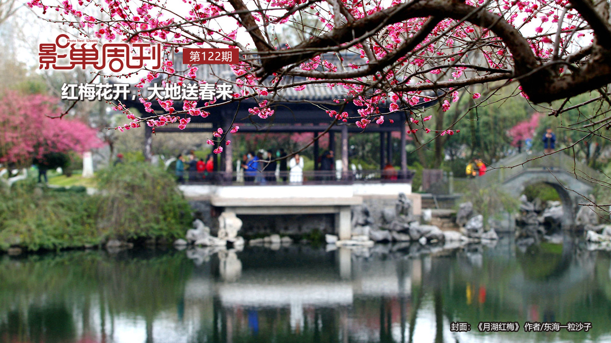 【影巢周刊】紅梅花開，大地送春來(lái)