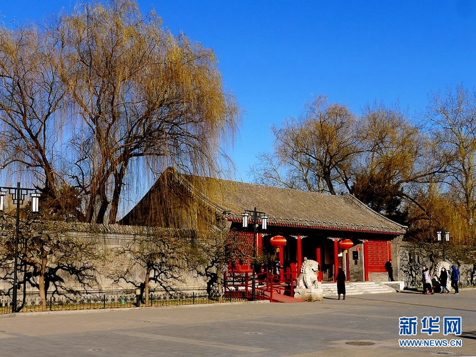 冬至，漫步大觀園