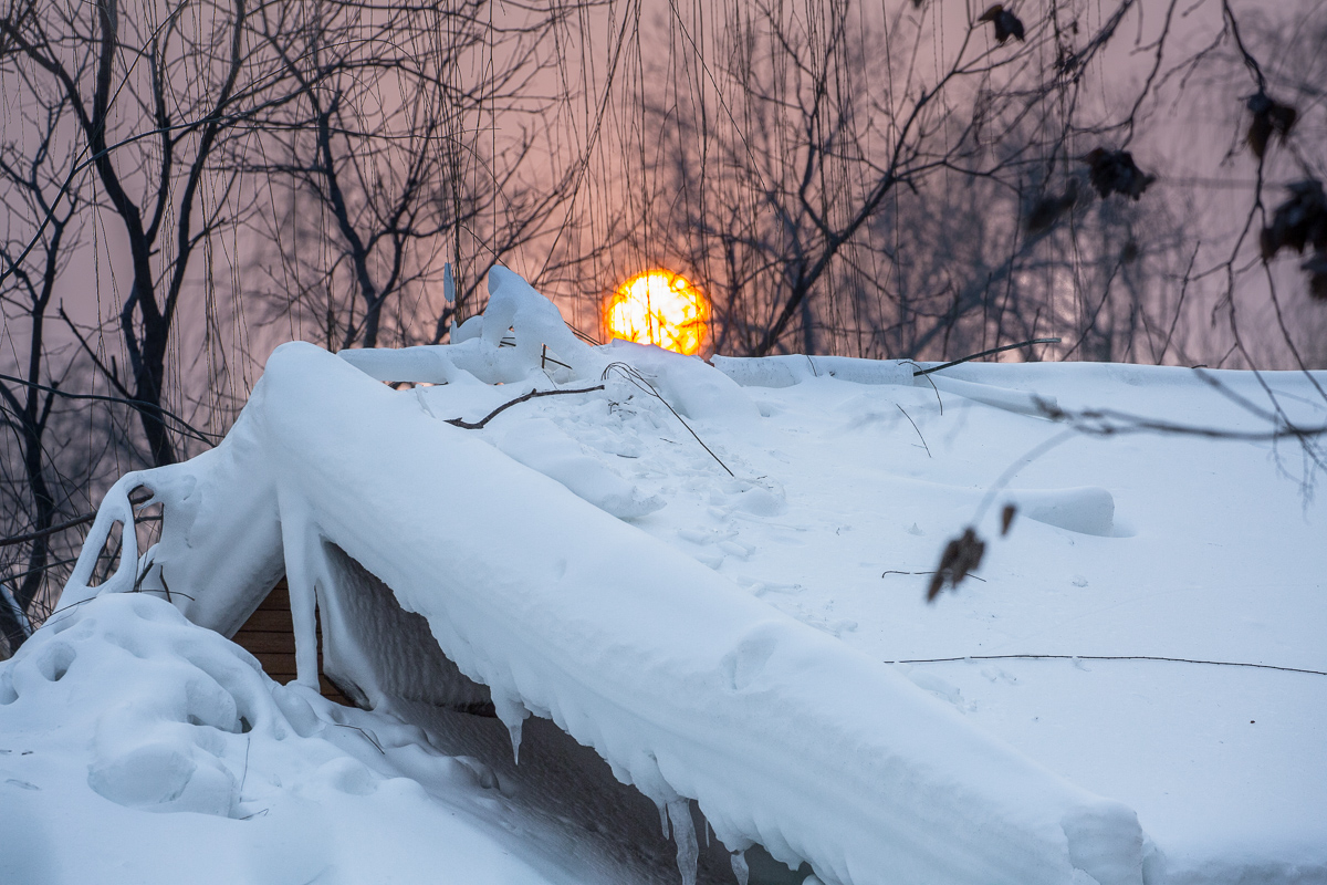 《屋上雪》