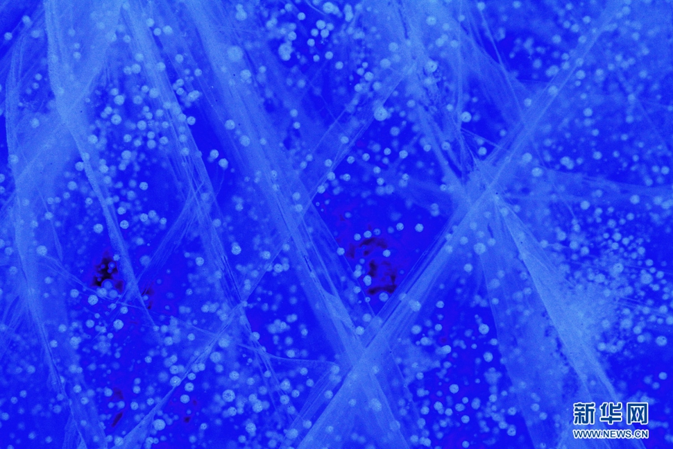 氣泡冰亮晶晶，藍(lán)精靈賽繁星