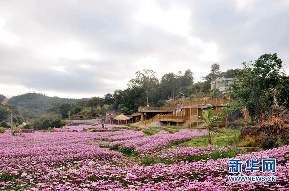 偶遇美女花更艷