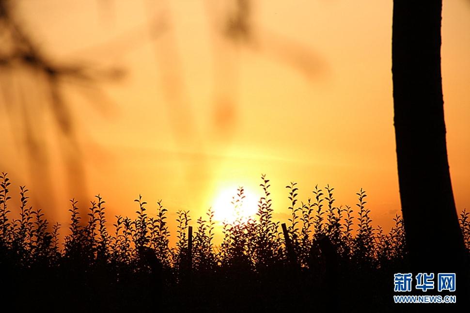 日落西山頭，人約黃昏后