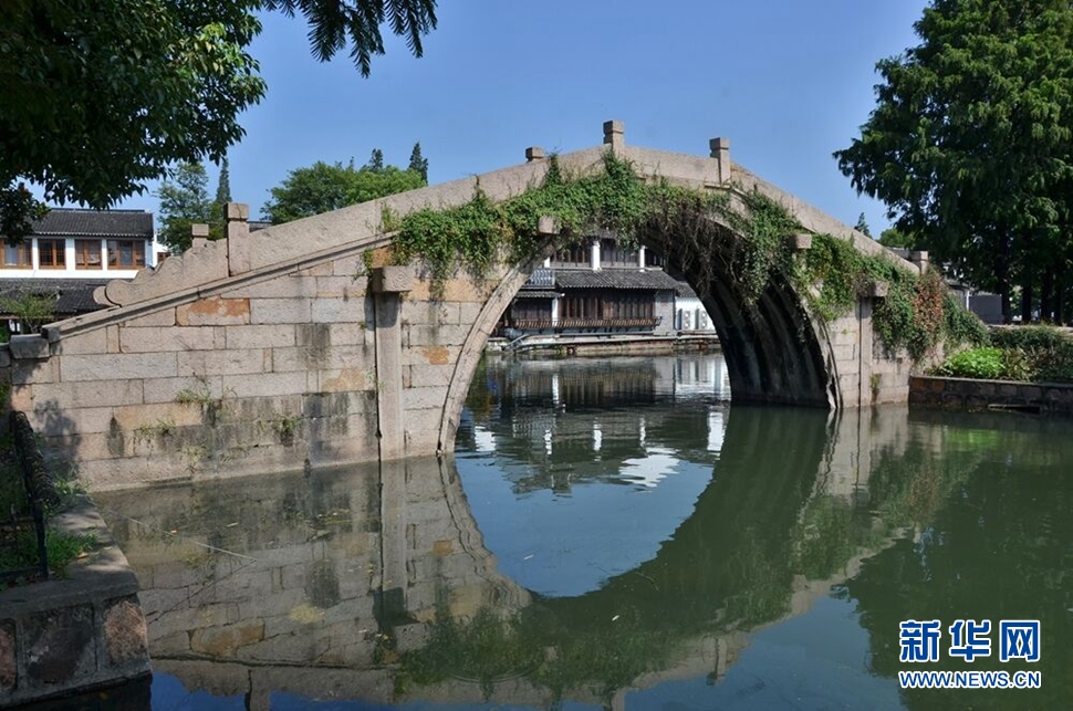 江南橋鄉(xiāng)金澤掠影