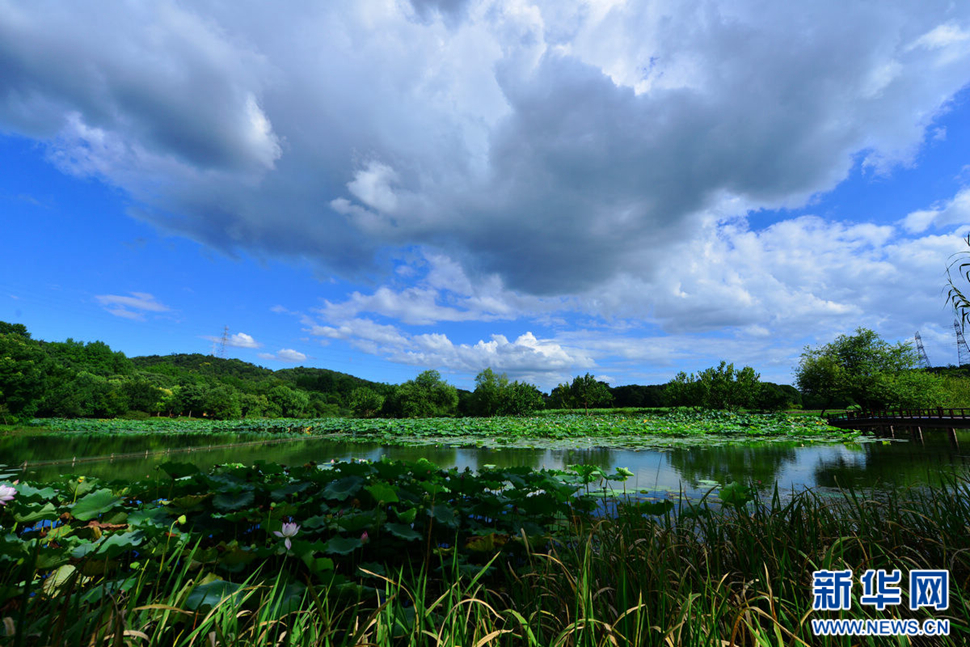 秋高氣爽，行攝八掛田