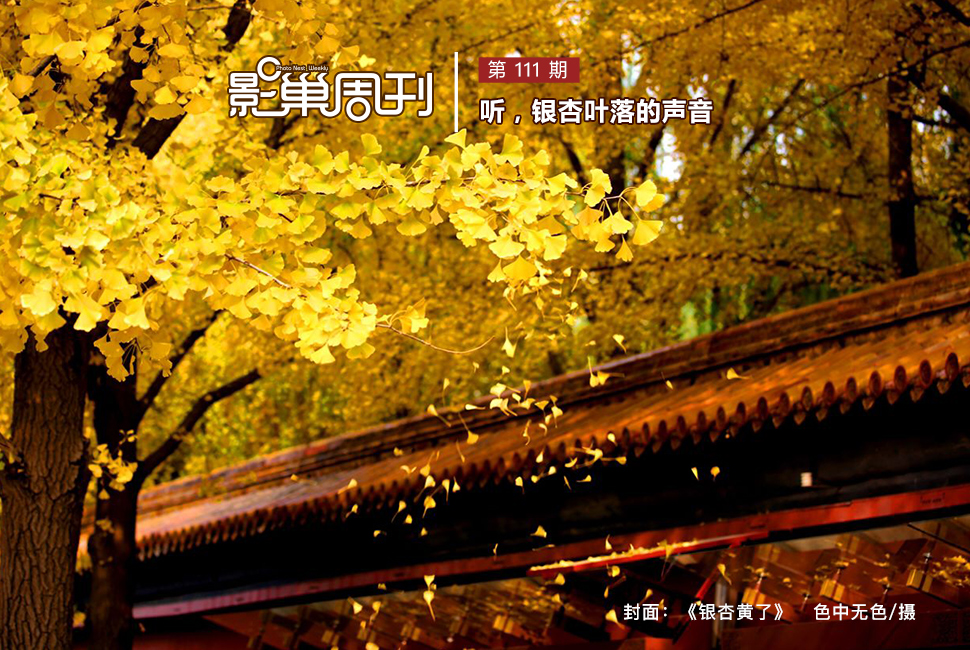 《銀杏黃了》