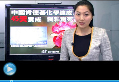 權(quán)威聲音：&ldquo;快時(shí)代&rdquo;究竟還有什么可以速成？