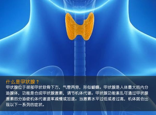 關(guān)注甲狀腺健康，你應(yīng)該知道的那些事