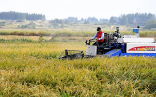 40年，小崗人的18個&ldquo;第一次&rdquo;