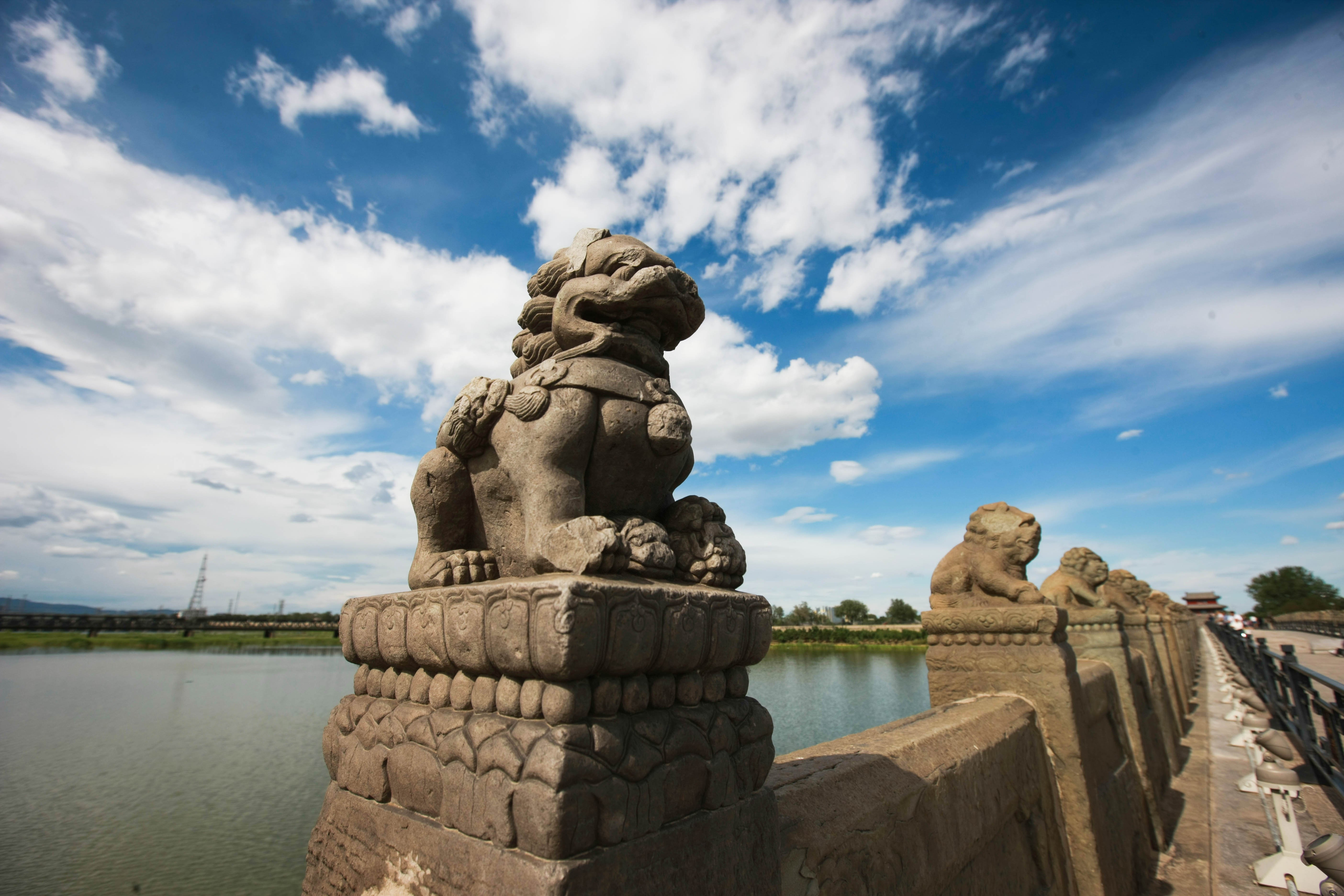 這些照片，來之不易