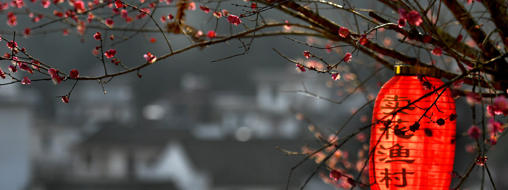 春來(lái)花開，綻放正當(dāng)時(shí)