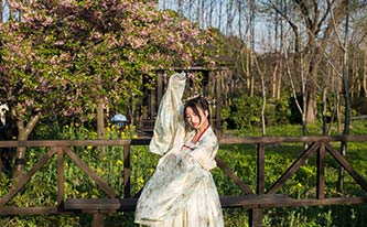 徜徉櫻花花海，來(lái)場(chǎng)動(dòng)漫之旅