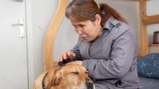 &ldquo;有你在身旁，真好&rdquo;