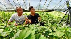 我們村里的年輕人：&ldquo;直播達人&rdquo;