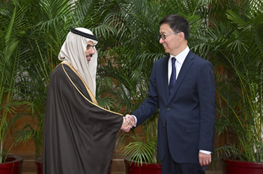 韓正集體會見阿拉伯、伊斯蘭國家外長聯(lián)合代表團