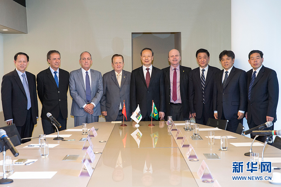 7月11日，在巴西首都巴西利亞，中共中央書記處書記、全國(guó)政協(xié)副主席杜青林（中）會(huì)見(jiàn)巴西民主運(yùn)動(dòng)黨總書記毛羅&middot;洛佩斯（左四）。新華社記者李明攝