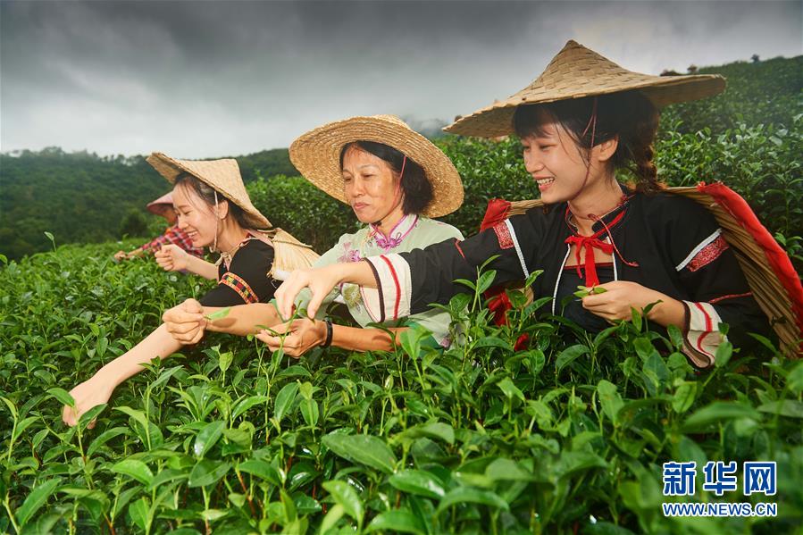 (新華全媒頭條·潮起海之南·圖文互動(dòng))(7)春潮拍岸千帆進(jìn)——海南特區(qū)改革開(kāi)放30年紀(jì)實(shí)