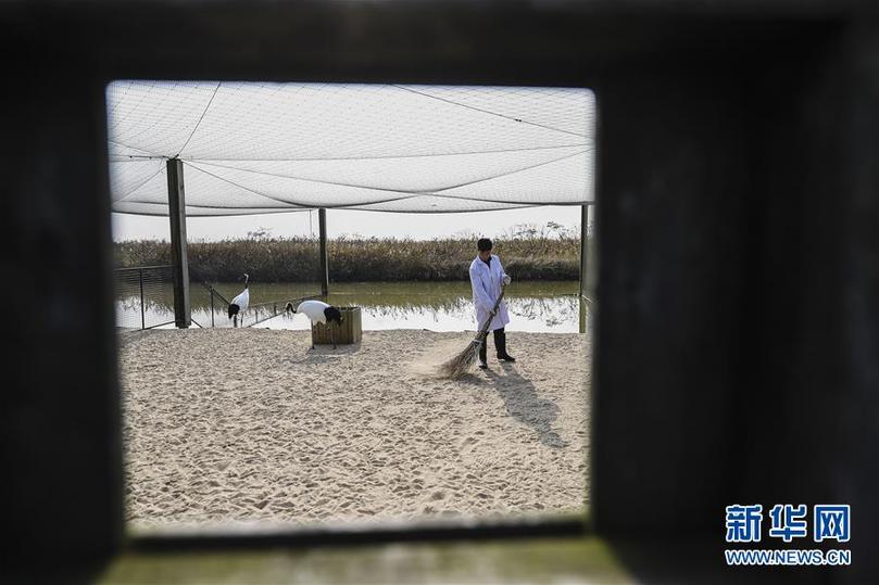 （兩會前夕看落實(shí)&middot;圖文互動）（3）綠色發(fā)展引領(lǐng) 守護(hù)&ldquo;魚米之鄉(xiāng)&rdquo;&mdash;&mdash;江蘇落實(shí)習(xí)近平總書記全國兩會重要講話精神紀(jì)實(shí)