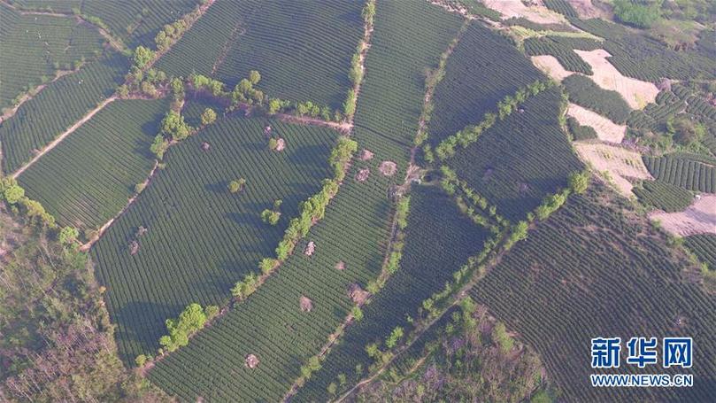 （兩會前夕看落實(shí)&middot;圖文互動）（9）綠色發(fā)展引領(lǐng) 守護(hù)&ldquo;魚米之鄉(xiāng)&rdquo;&mdash;&mdash;江蘇落實(shí)習(xí)近平總書記全國兩會重要講話精神紀(jì)實(shí)