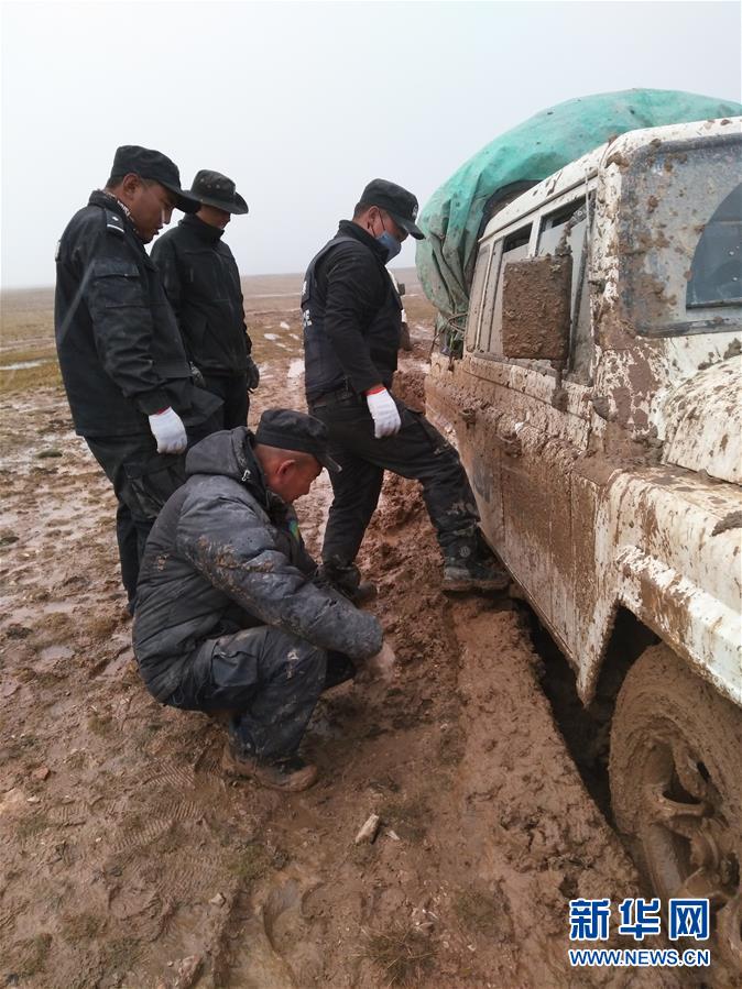 （愛國(guó)情 奮斗者）（2）藏族巡山隊(duì)員龍周才加：把青春留在可可西里