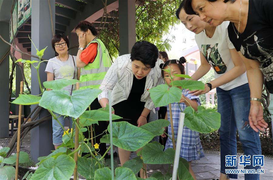（新華全媒頭條&middot;圖文互動）（4）上海&ldquo;新時尚&rdquo;：用&ldquo;繡花功&rdquo;解垃圾分類&ldquo;大難題&rdquo;