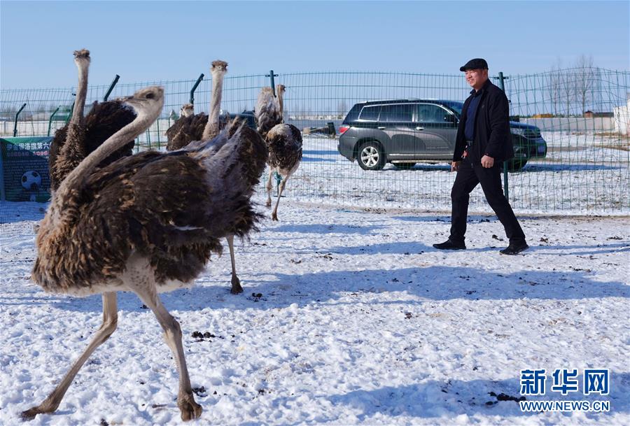 （新春走基層&middot;圖文互動）（3）&ldquo;貨郎干部&rdquo;扶貧記