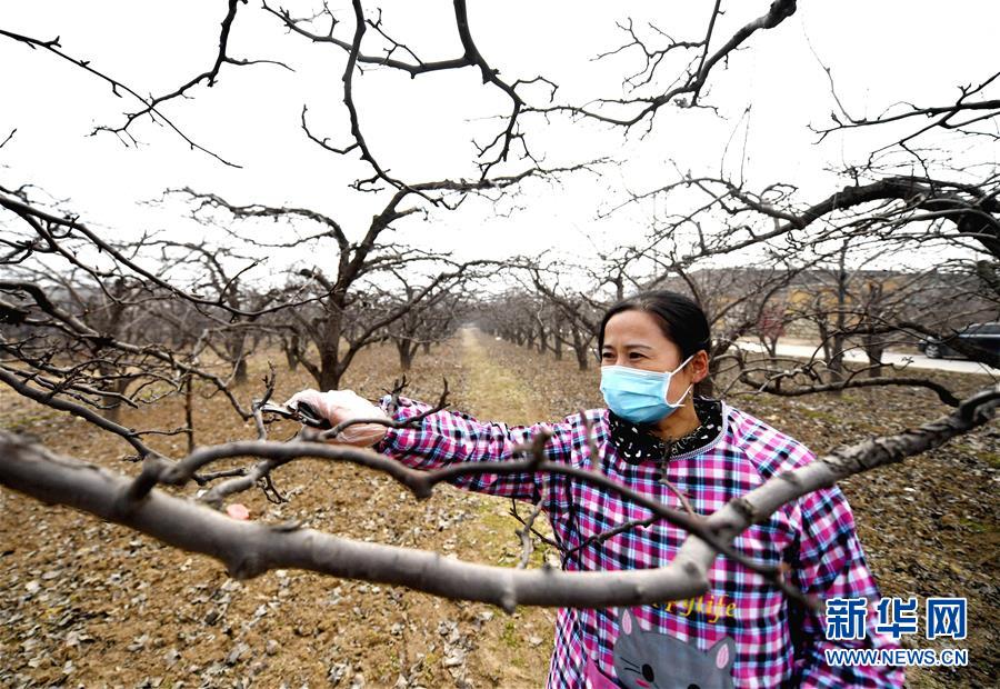 (聚焦疫情防控·圖文互動)(3)農(nóng)民工返城:幾多憧憬幾許等待——走進疫情下的河北勞務輸出專業(yè)村