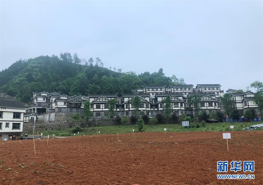 （決戰(zhàn)決勝脫貧攻堅&middot;圖文互動）（2）一分菜園穩(wěn)&ldquo;心遷&rdquo;