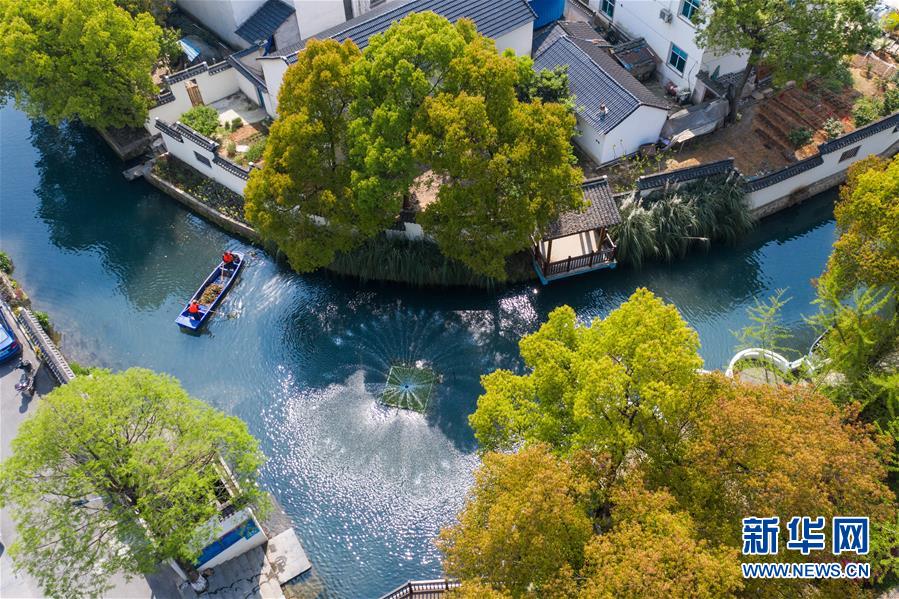 （新華全媒頭條&middot;圖文互動(dòng)）（6）從&ldquo;藍(lán)圖規(guī)劃&rdquo;到美麗&ldquo;現(xiàn)實(shí)畫(huà)卷&rdquo;&mdash;&mdash;長(zhǎng)三角一體化高質(zhì)量發(fā)展一年間