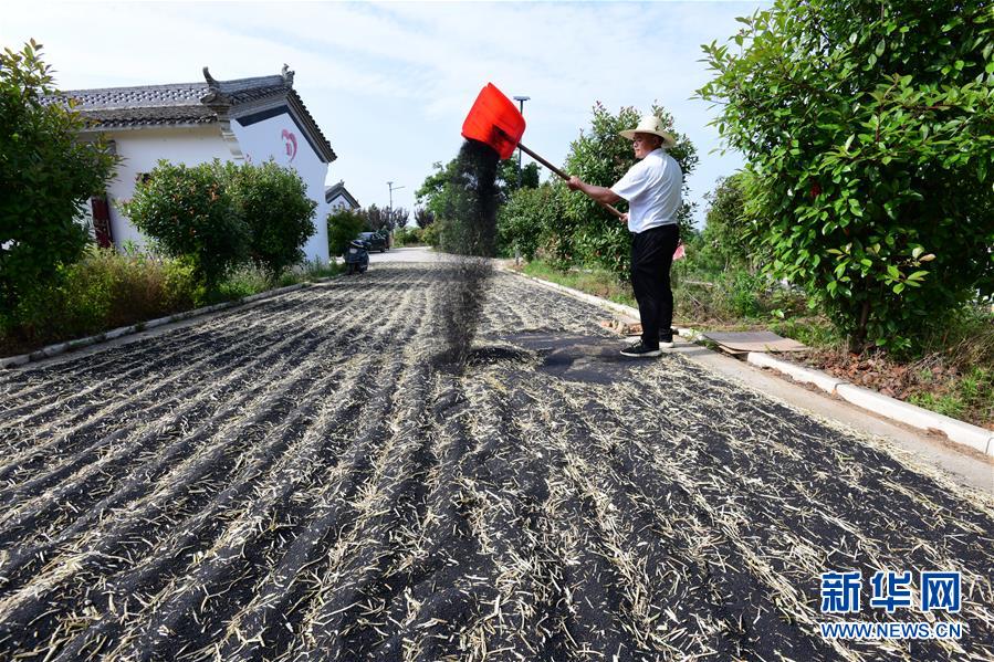 （決戰(zhàn)決勝脫貧攻堅(jiān)&middot;圖文互動(dòng)）（1）貧困戶(hù)老楊的人生&ldquo;三級(jí)跳&rdquo;