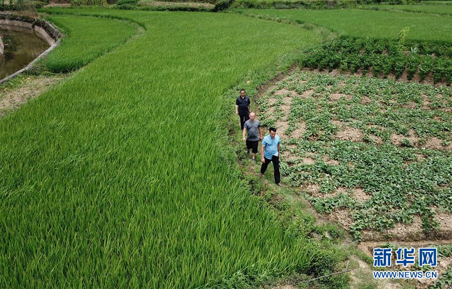 （圖文互動）（6）湘南深山，堅守扶貧一線的黨員之家