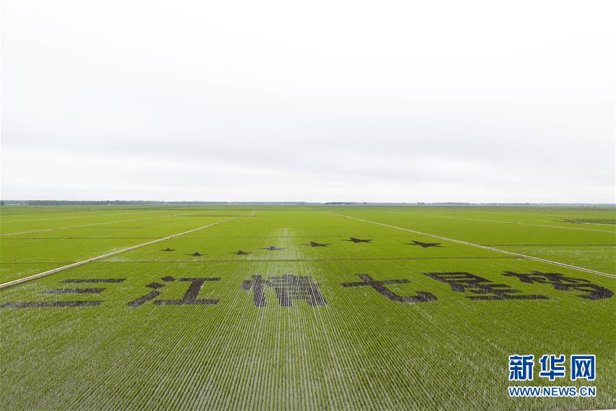 （走向我們的小康生活&middot;圖文互動(dòng)）（2）端牢&ldquo;中國(guó)飯碗&rdquo; 播種綠色小康