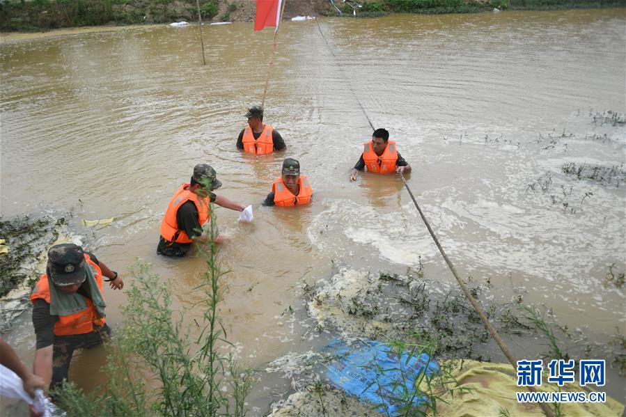 （防汛抗洪&middot;圖文互動(dòng)）（1）&ldquo;大堤上有了&lsquo;導(dǎo)彈綠&rsquo;，我們老百姓安了心&rdquo;
