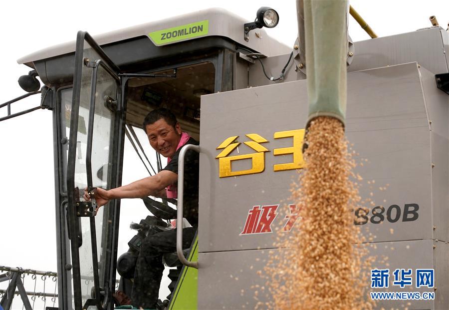 （在習近平新時代中國特色社會主義思想指引下&mdash;&mdash;新時代新作為新篇章&middot;習近平總書記關切事&middot;圖文互動）（3）食為政首&mdash;&mdash;穩(wěn)住農業(yè)基本盤增添發(fā)展底氣