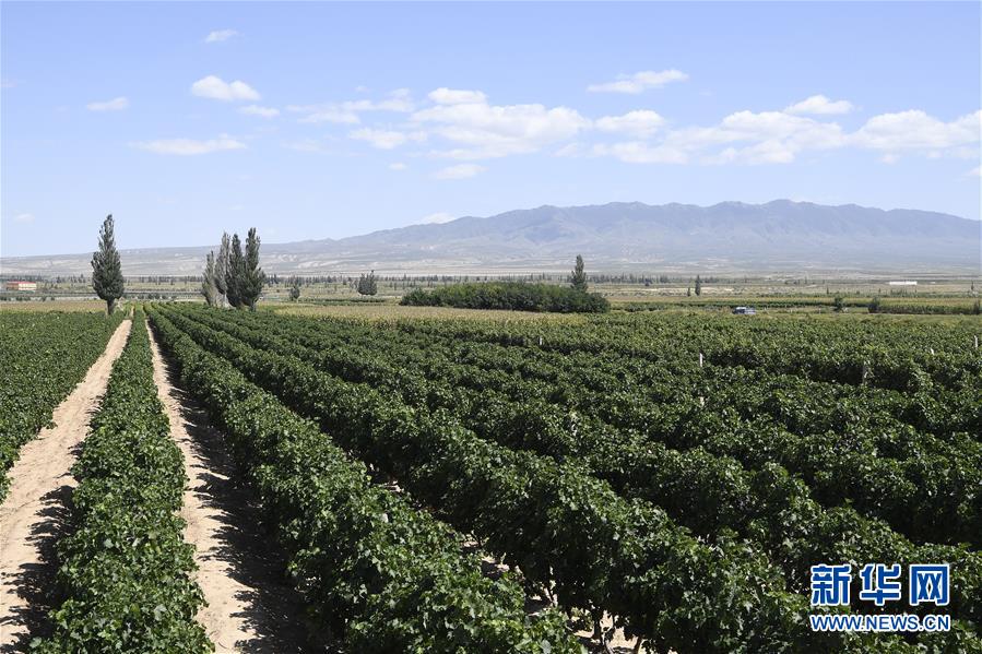 （新華全媒頭條&middot;走向我們的小康生活&middot;圖文互動(dòng)）（9）23萬(wàn)人的命運(yùn)轉(zhuǎn)折&mdash;&mdash;我國(guó)最大易地生態(tài)移民安置區(qū)的脫貧密碼