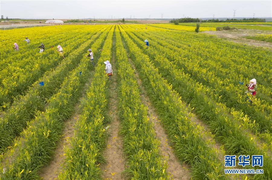 （新華全媒頭條&middot;走向我們的小康生活&middot;圖文互動(dòng)）（11）23萬(wàn)人的命運(yùn)轉(zhuǎn)折&mdash;&mdash;我國(guó)最大易地生態(tài)移民安置區(qū)的脫貧密碼