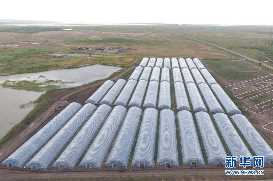 （決戰(zhàn)決勝脫貧攻堅&middot;圖文互動）（2）幸福村的幸福&ldquo;菜&rdquo;事