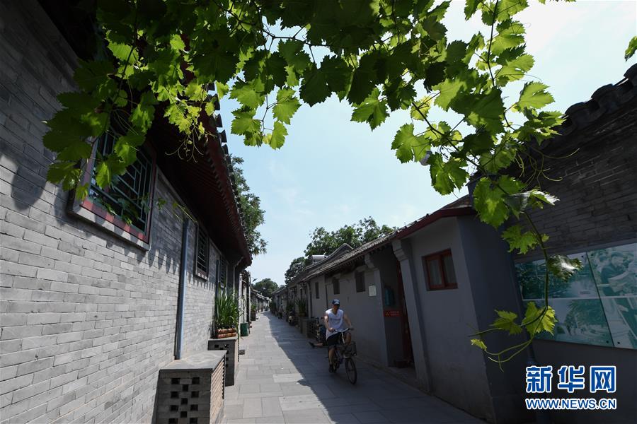 （走向我們的小康生活&middot;圖文互動）（1）小橋、流水、書香、人家&mdash;&mdash;老北京胡同里的恬靜棲居