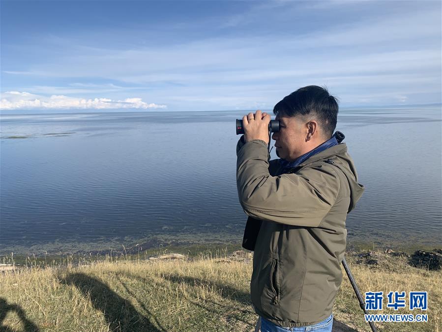 （新華全媒頭條&middot;圖文互動）（9）大湖見證 &mdash;&mdash;持續(xù)保護讓青海湖生態(tài)華麗&ldquo;蝶變&rdquo;