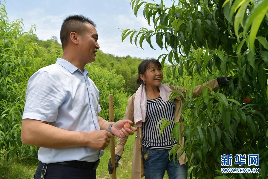 (新華全媒頭條·圖文互動)(4)幕阜山“搬窮”記