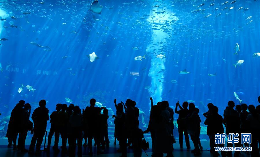 （在習(xí)近平新時(shí)代中國特色社會主義思想指引下&mdash;&mdash;新時(shí)代新作為新篇章&middot;習(xí)近平總書記關(guān)切事&middot;圖文互動）（9）感受開放新魅力&mdash;&mdash;海南自由貿(mào)易港建設(shè)開局觀察