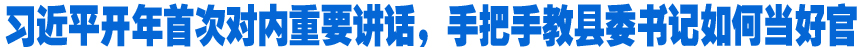 習(xí)近平開(kāi)年首次對(duì)內(nèi)重要講話，手把手教縣委書記如何當(dāng)好官